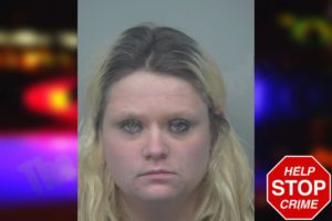 Ashley Wilson mugshot