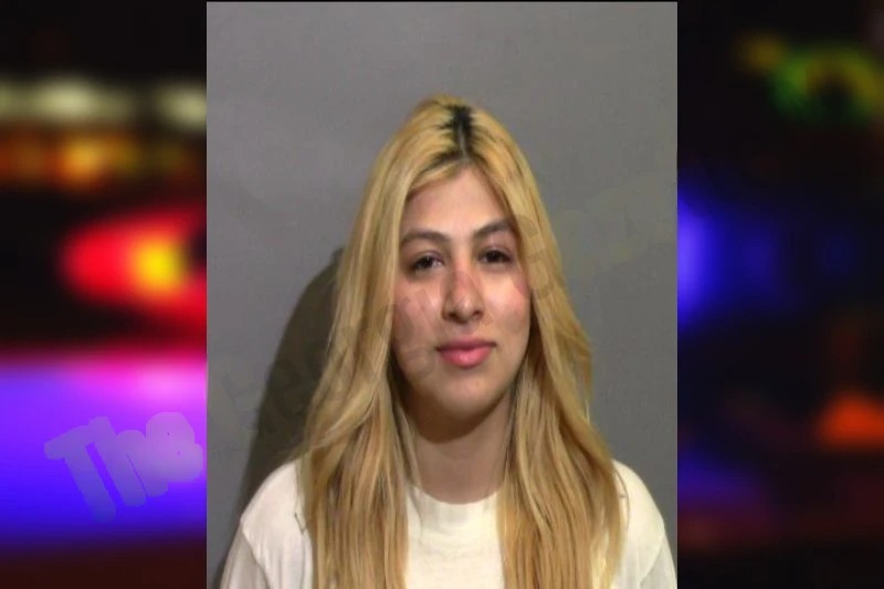 Astrid Ramero Mugshots