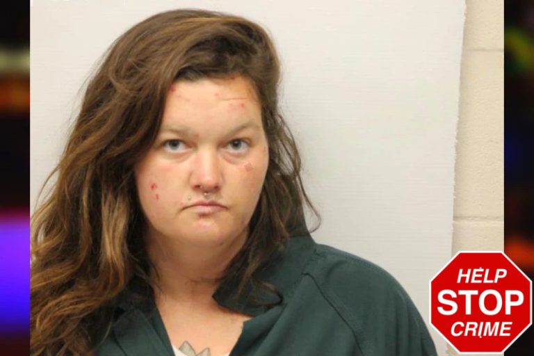 Athena Aldrich-Ames mugshot – Hall County , Georgia Athena Aldrich-Ames