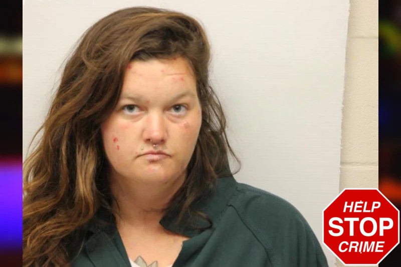 Athena Aldrich-Ames mugshot – Chatham County , Georgia Athena Aldrich-Ames mugshot