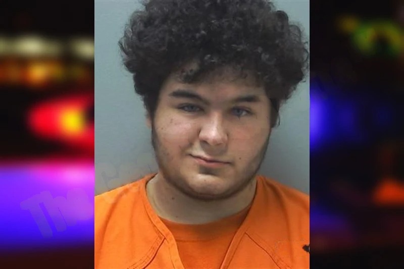 Austin Lamb mugshot – Cherokee County , Georgia Austin Lamb mugshot