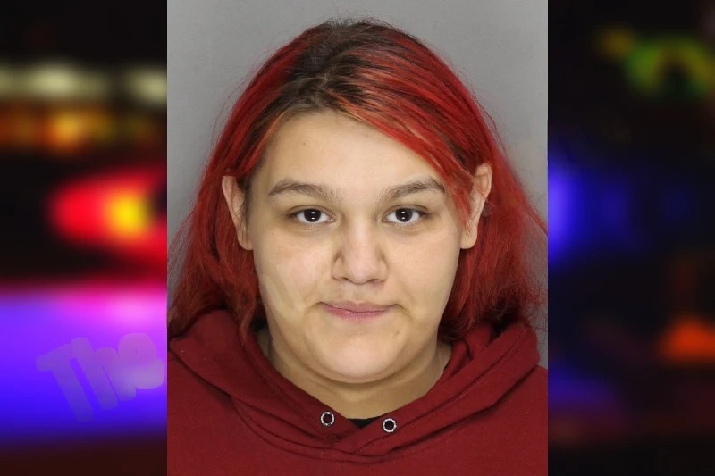 Azalea Mauricio mugshot – Cobb County , Georgia Azalea Mauricio mugshot