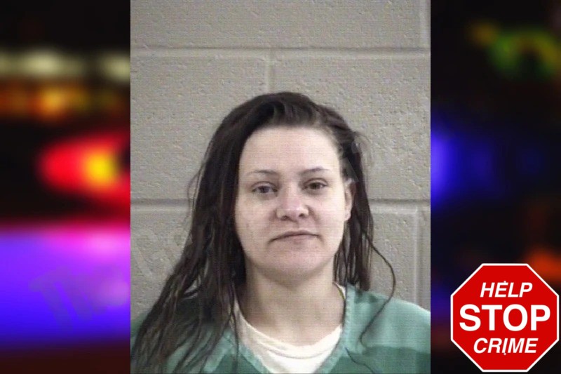 Bailey Davis Mugshots