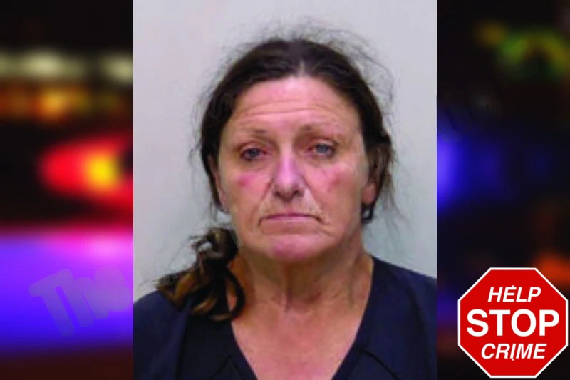 Barbara McFall Mugshots