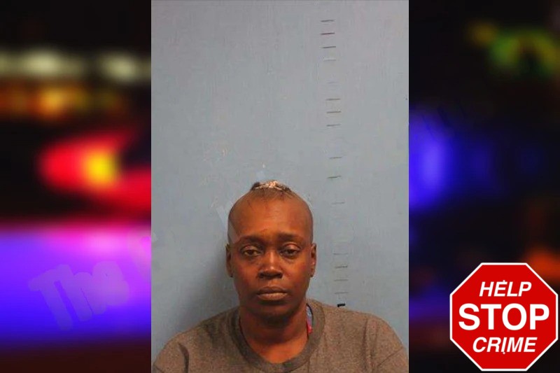 Barbieretta Turner Mugshots