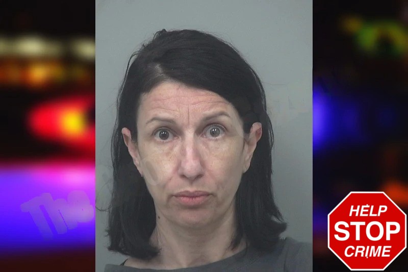 Belkis Nunez-Cabrera Mugshots