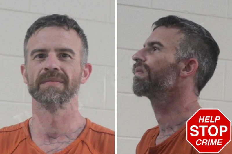 Benjamin Johnson Mugshots