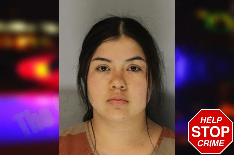 Berenice Vasquez Mugshots