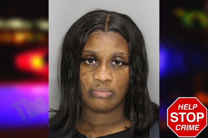 Bernithia Anderson Mugshots