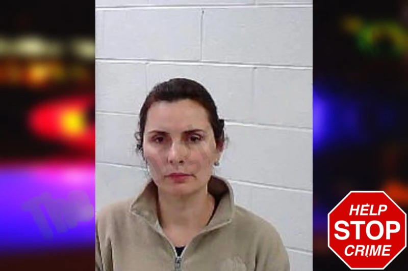 Bettina De Armas Vollmer Mugshots