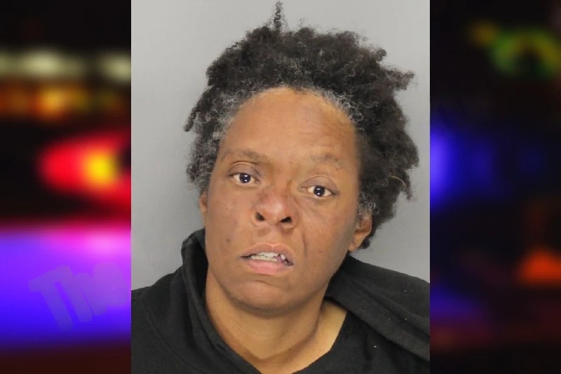 Bianca Afriani Mugshots