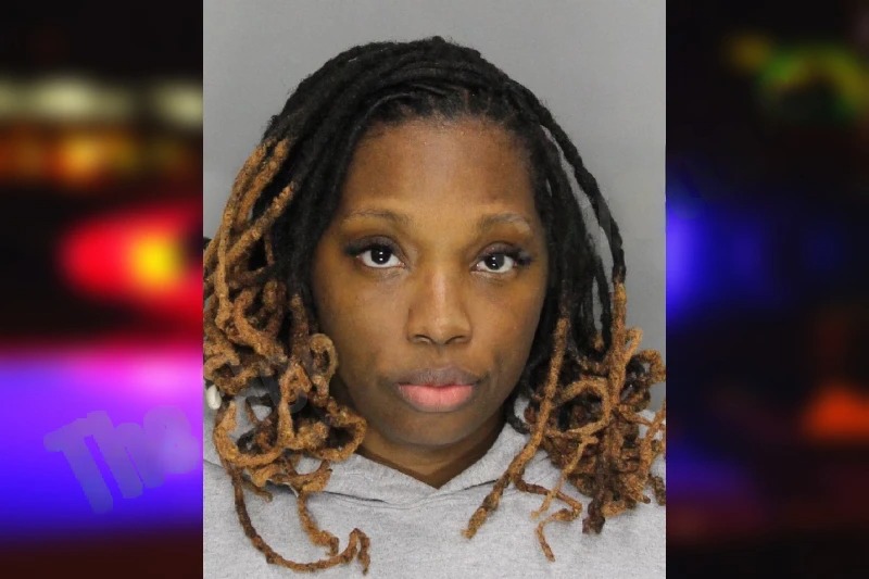 Bianca Armour Mugshots