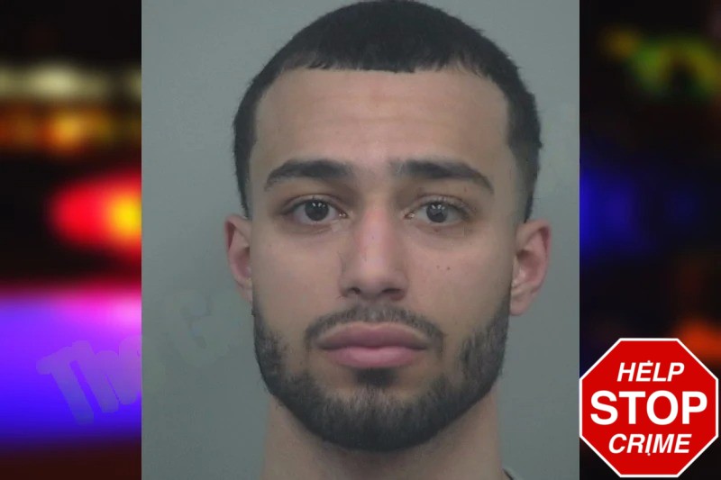 Blake Young mugshot – Gwinnett County , Georgia Blake Young mugshot