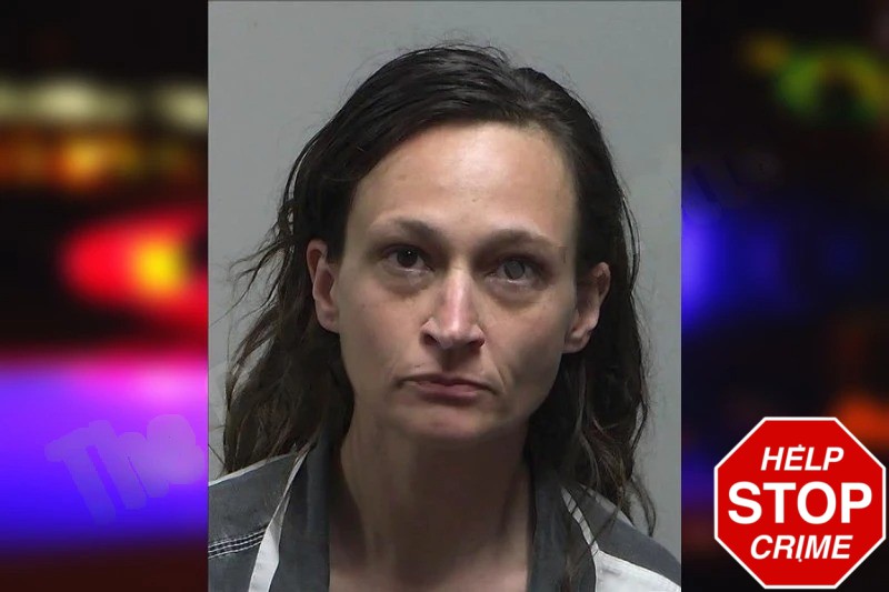 Bonnie Laney Mugshots