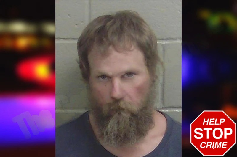 Bradley Ammons mugshot – Wayne County , Georgia Bradley Ammons mugshot