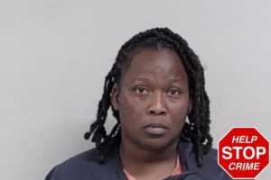 Brandi Brooklin mugshot