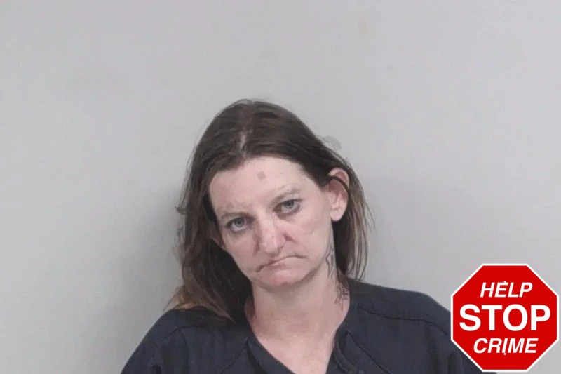 Brandi Bryant Mugshots