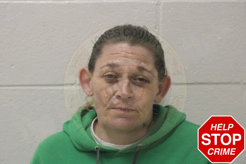 Brandi Harris Mugshots