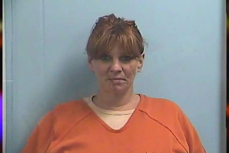 Brandie Hardison mugshot – Dawson County , Georgia Brandie Hardison