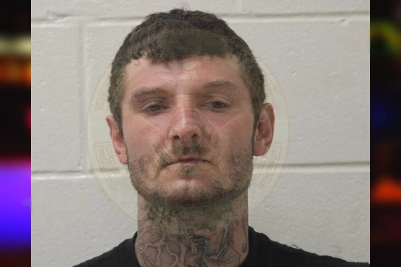 Brandon Hales Mugshots