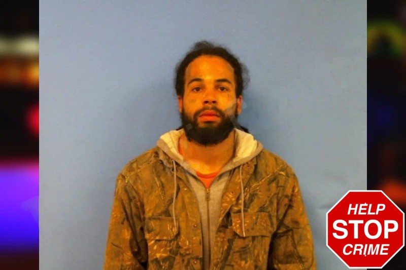 Brandon Hamler Mugshots