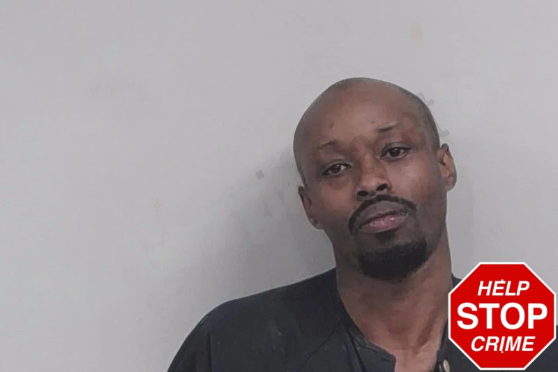 Brandon James Mugshots