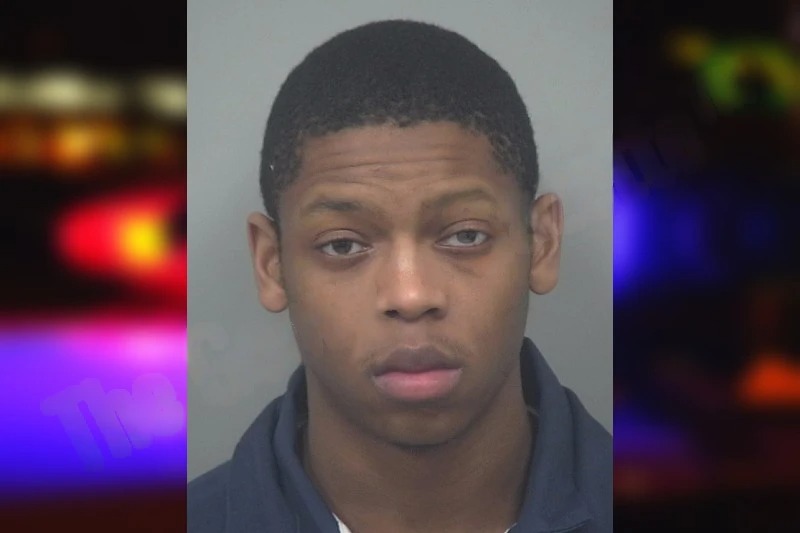 Brandon Jamison mugshot