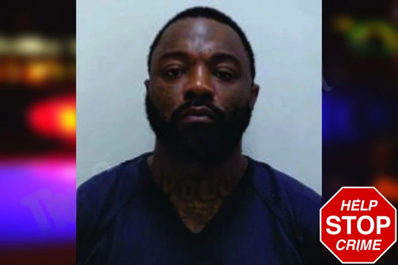 Brandon Trimble Mugshots