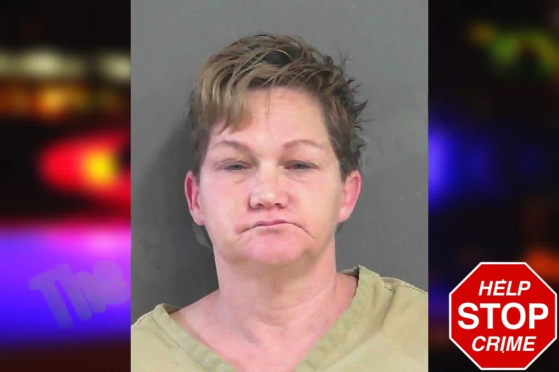 Brandy Bagwell Mugshots