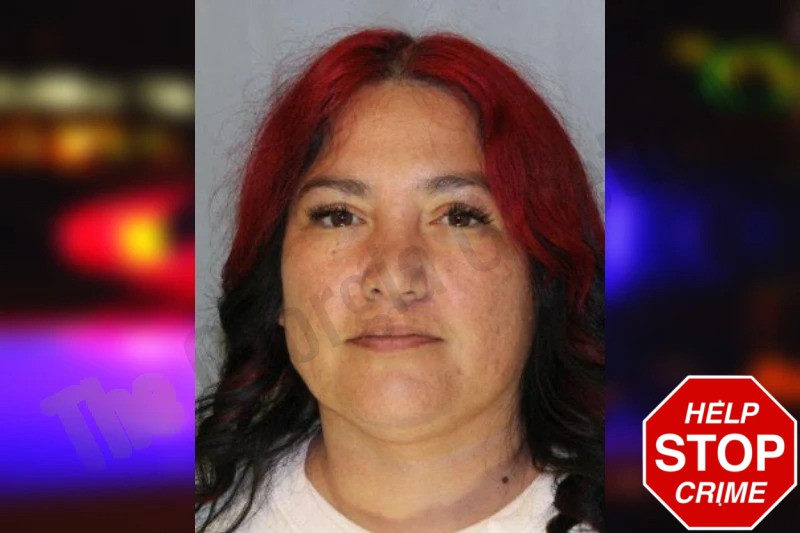 Brandy Calvet Mugshots