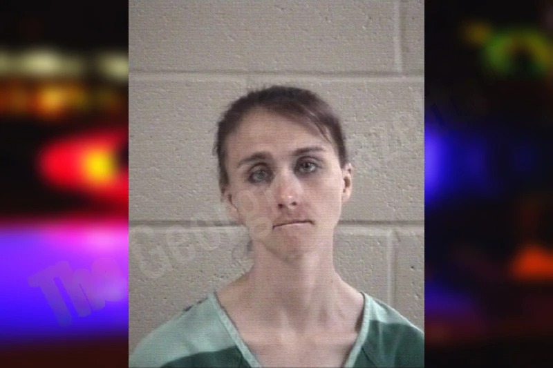 Brandy Dickinson Mugshots