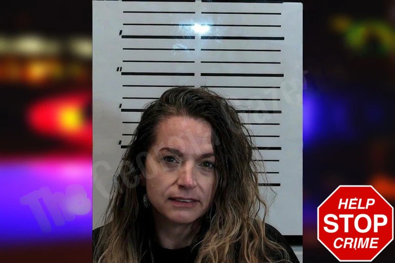 Brandy Mayberry Mugshots