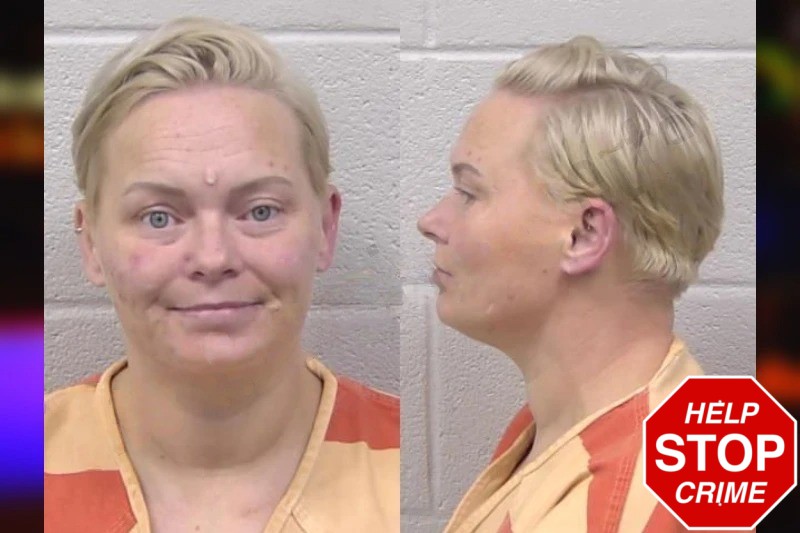 Brandy McCoy mugshot