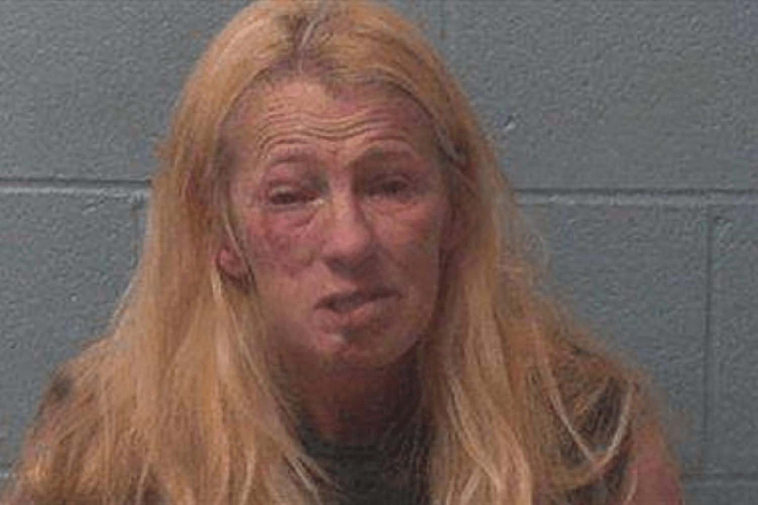 Brandy Wilson Mugshots