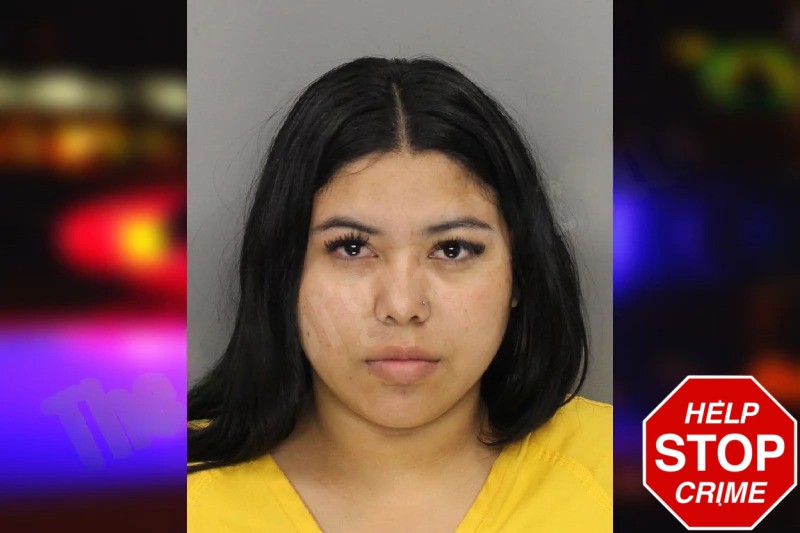 Brangelis Salazar mugshot – Cobb County , Georgia Brangelis Salazar mugshot