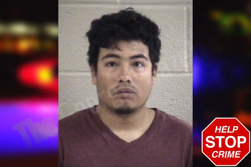 Brayan Vela Saldana mugshot