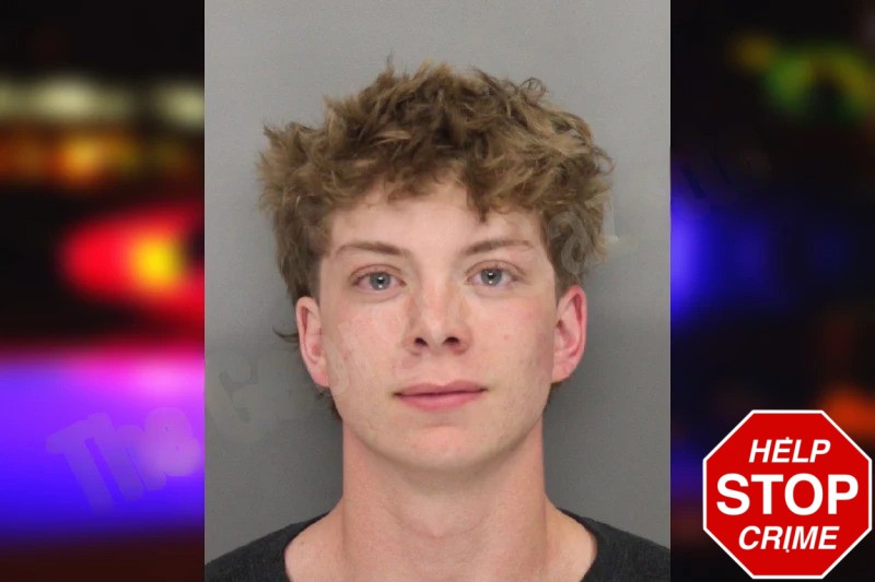 Brayden Paolini Mugshots