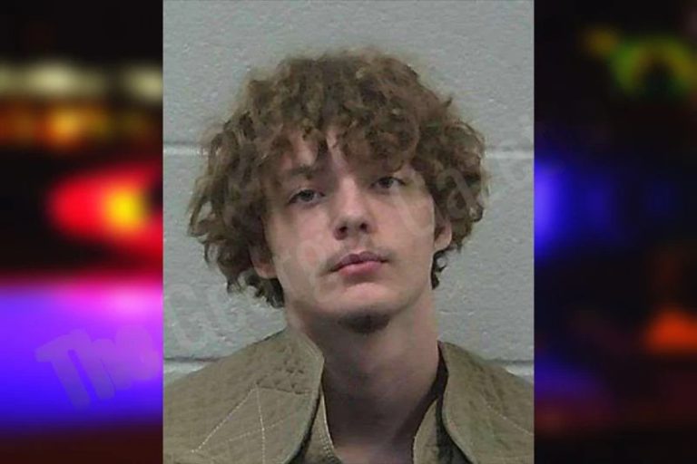 Braylan Tidmore mugshot – Gilmer County , Georgia Braylan Tidmore