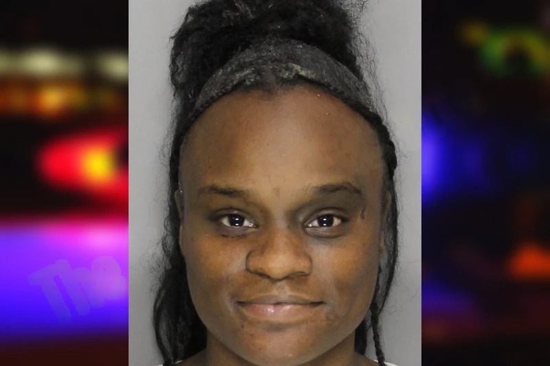 Breanna Gayle mugshot