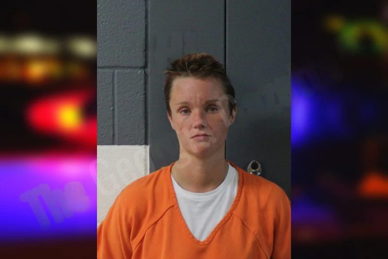 Breanna Lloyd mugshot โ Lumpkin County , Georgia Breanna Lloyd