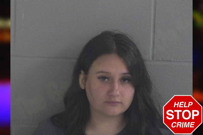 Breanna Ryals Mugshots