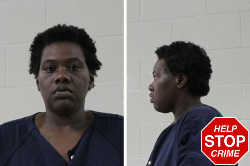 Brechellya Collins mugshot