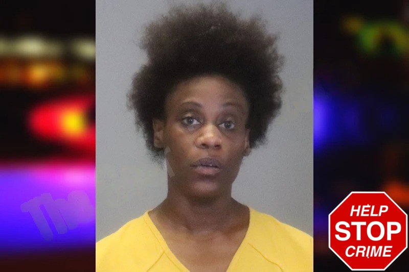 Breianna Baker Mugshots