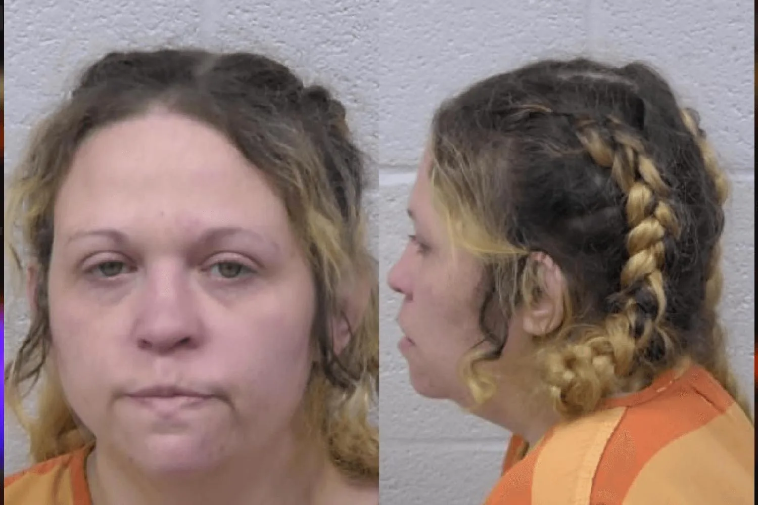 Brenda Luke Mugshots