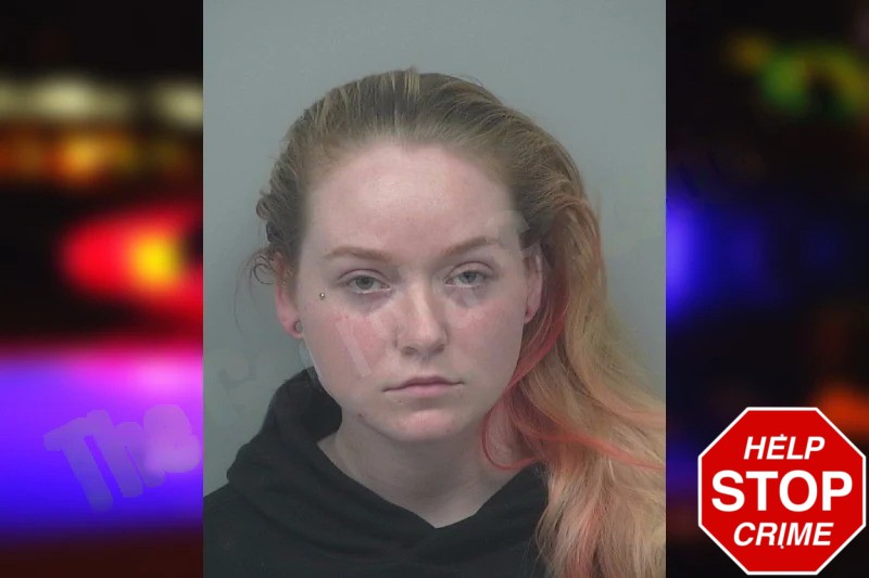 Brenda Reynolds Mugshots