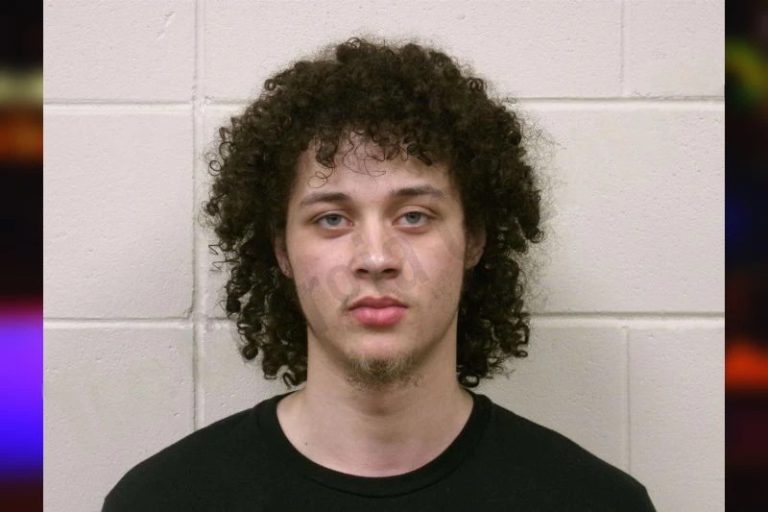 Brenden Hulsey mugshot – Bulloch County , Georgia Brenden Hulsey