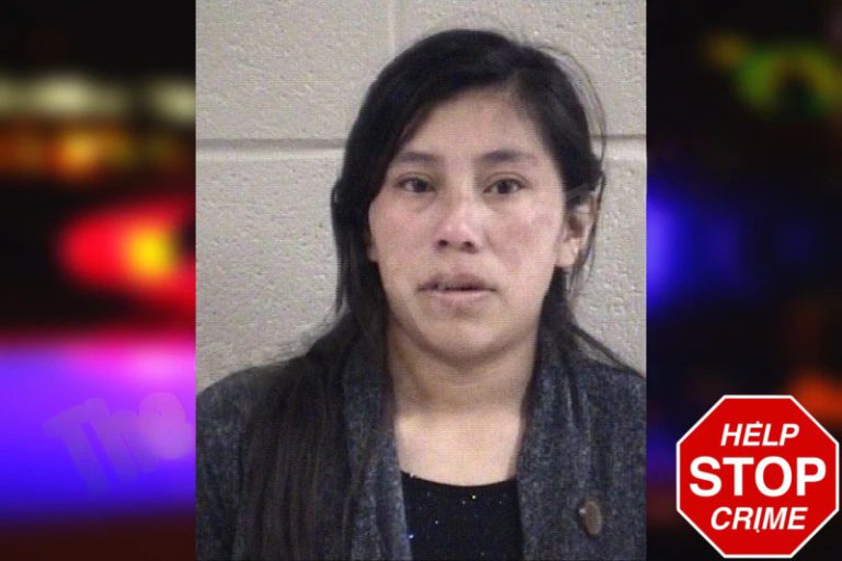 Brendy Ramirez-Vasquez