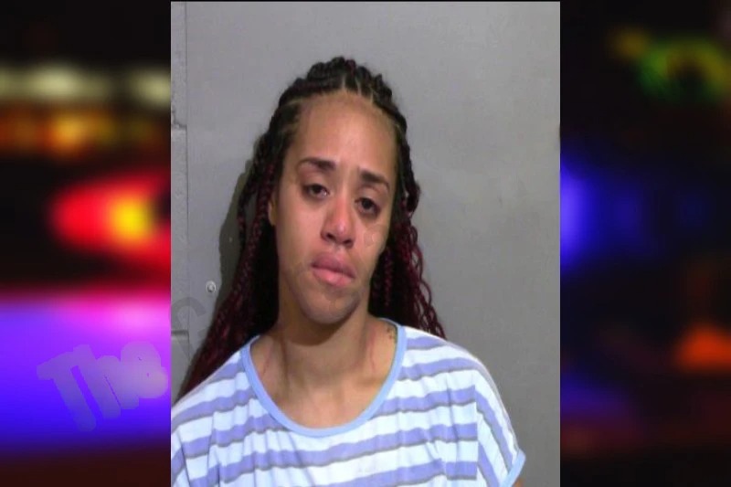 Bria Bellanca mugshot – Glynn County , Georgia Bria Bellanca mugshot