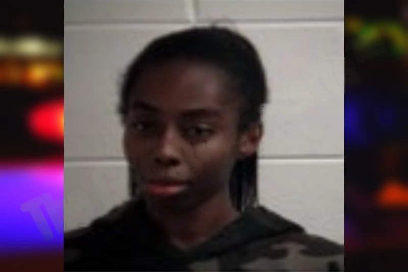 Bria Lowery mugshot