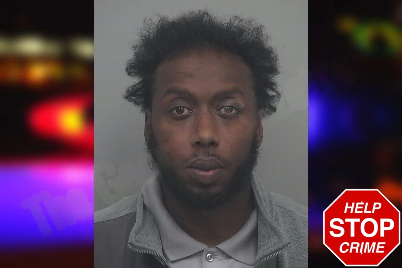 Brian Davis Mugshots